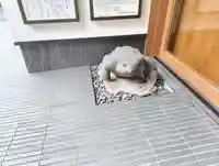 増上寺塔頭 三縁山 宝珠院(東京都)