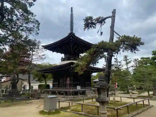 智恩寺(京都府)