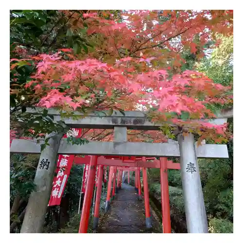 岐阜稲荷山本社(岐阜県)