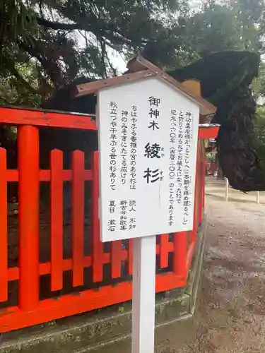 香椎宮(福岡県)