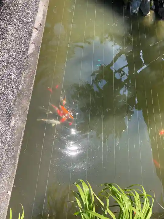 無量寺(神奈川県)
