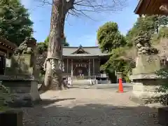 青渭神社の本殿