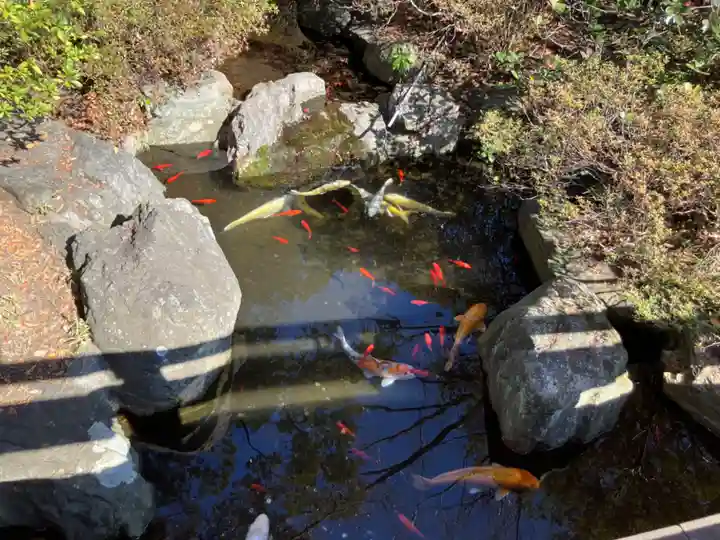 千葉神社(千葉県)