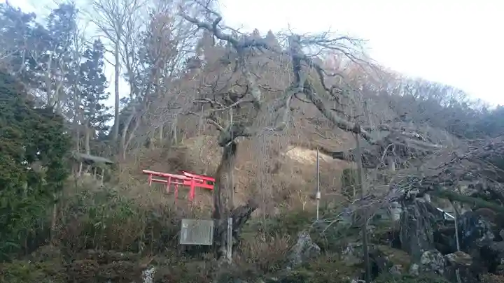 剛叟寺のその他建物