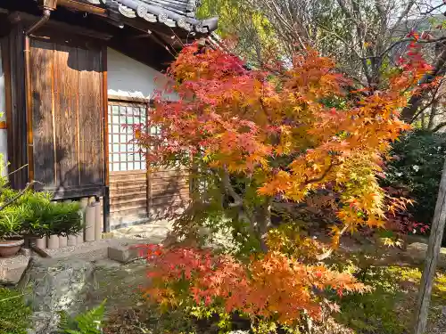龍象院(兵庫県)