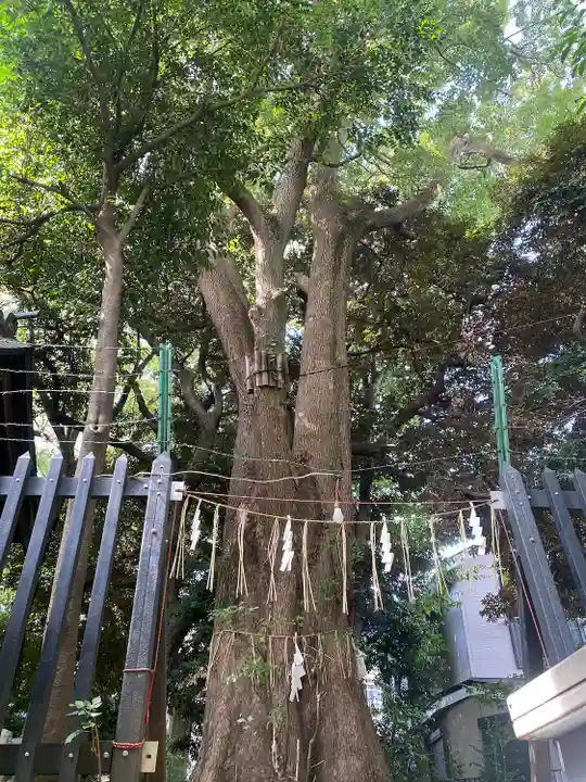 太子堂八幡神社(東京都)