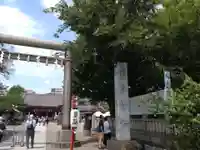 浅草神社の鳥居