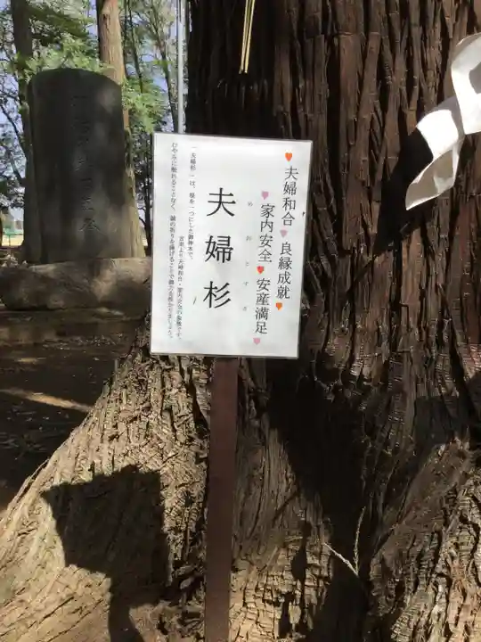 東蕗田天満社の自然