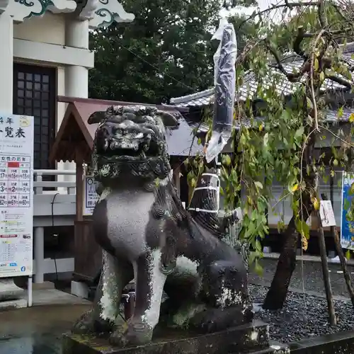 武雄神社の狛犬