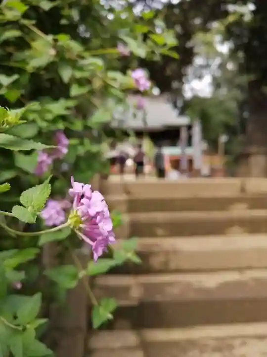太子堂八幡神社のその他建物