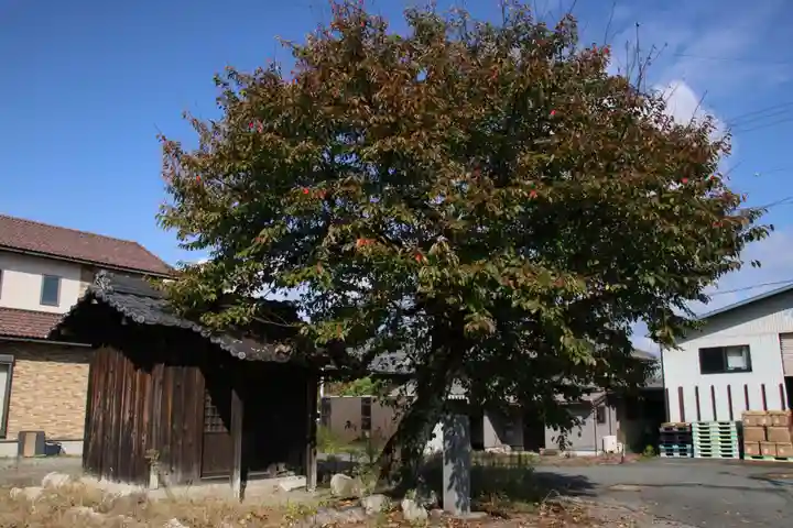 行座神社 旧跡(滋賀県)
