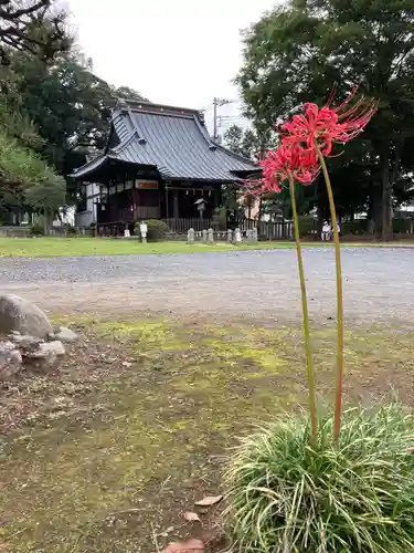 尉殿神社のその他建物