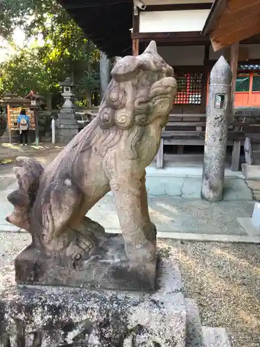 棚倉孫神社の狛犬