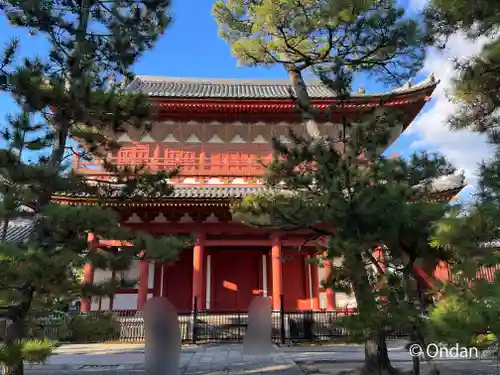 妙心寺（妙心禅寺）の山門