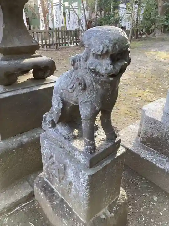 白旗神社(西御門)の狛犬