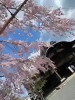 三宝院(三宝院門跡)の自然