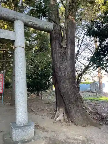久伊豆社（小久喜久伊豆神社）(埼玉県)