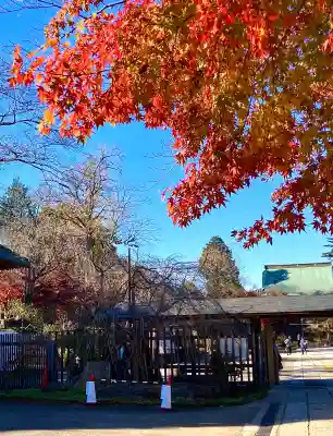 本土寺(千葉県)