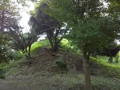 熊野神社の自然