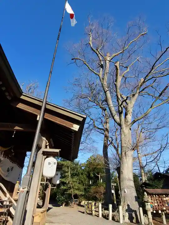 日吉神社のその他建物