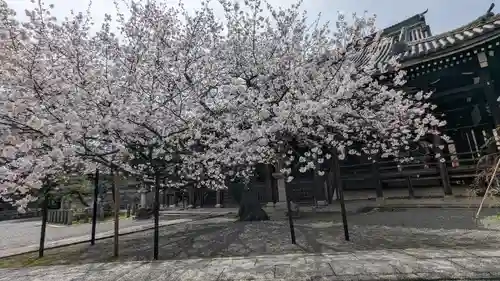 本法寺(京都府)