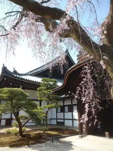 知恩院のその他建物