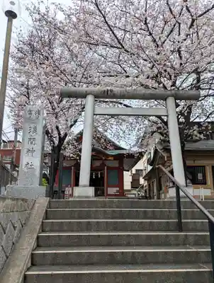 浅草富士浅間神社の鳥居