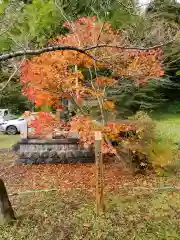 土津神社｜こどもと出世の神さまの自然