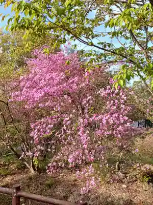 廣田神社(兵庫県)