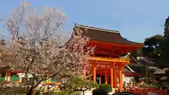 賀茂別雷神社（上賀茂神社）の自然