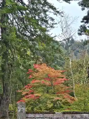 円蔵寺(福島県)