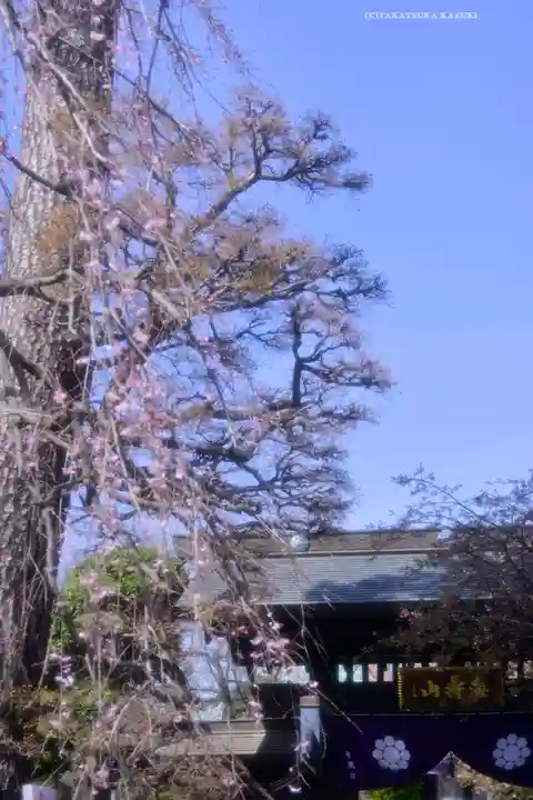 密藏院(埼玉県)