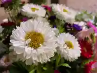 滑川神社 - 仕事と子どもの守り神の手水舎