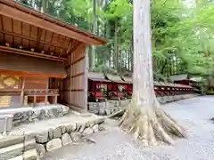 三峯神社(埼玉県)