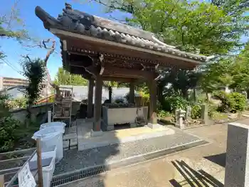 本乗寺の御朱印 2026年05月