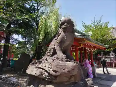 浅草神社の狛犬