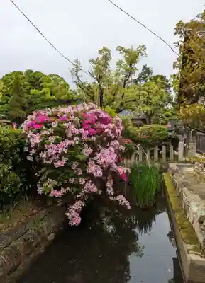 陶荒田神社(大阪府)