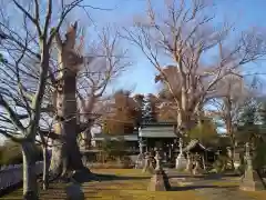 若宮八幡宮の建物その他