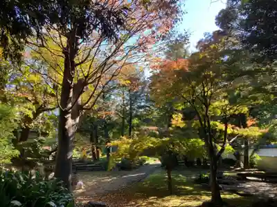 長仙寺(東京都)