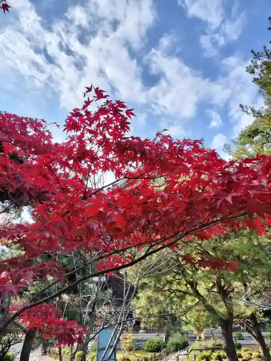 清凉寺(京都府)