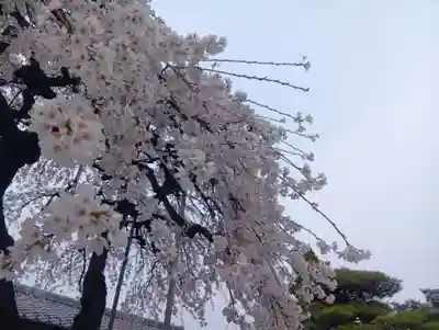 寛立院（曼陀羅寺塔頭）(愛知県)
