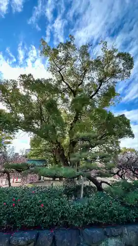 屯倉神社(大阪府)