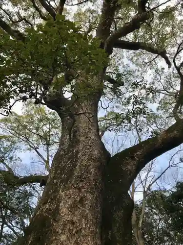 伊弉諾神宮(兵庫県)