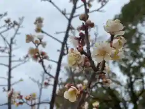 美奈宜神社(福岡県)(2023年02月17日(金) 16時04分45秒投稿)