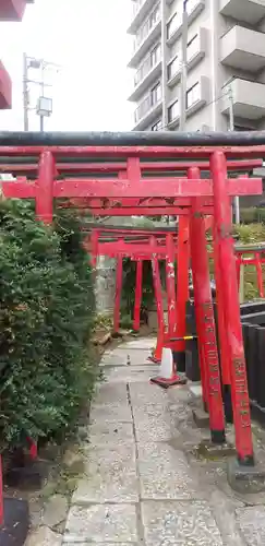 横浜成田山延命院（成田山横浜別院）の鳥居