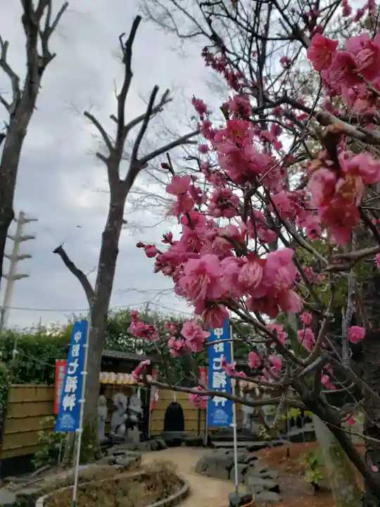 中野沼袋氷川神社(東京都)