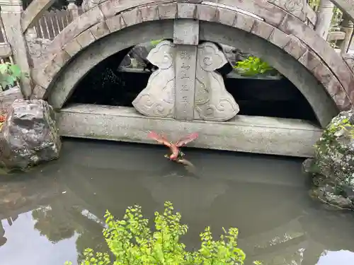 若宮神明社の動物
