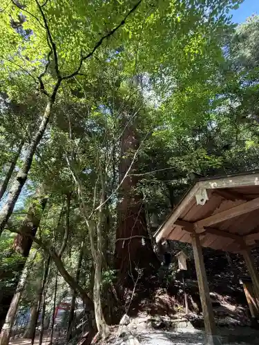 丹生川上神社（中社）(奈良県)