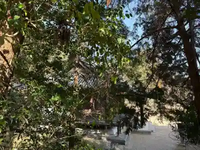 大御堂観音寺(京都府)