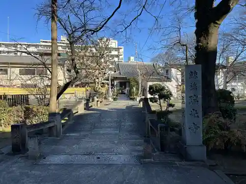 瑞光寺(大阪府)
